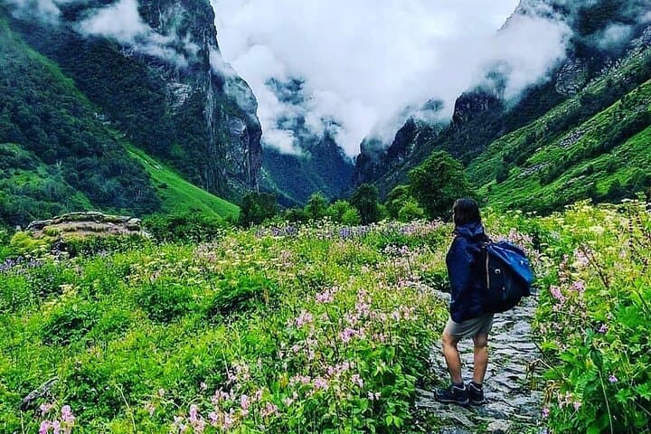 Valley of Flowers 7-Day Trek from Haridwar: Ghangaria, Hemkund Sahib & Alpine Meadows