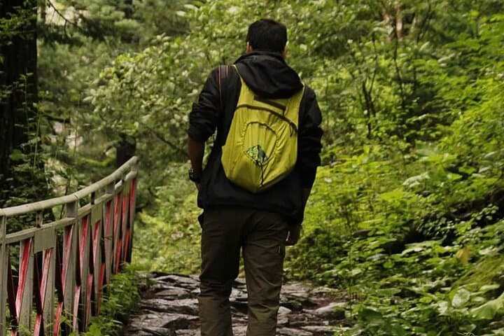 Valley of Flowers 7-Day Trek from Haridwar: Ghangaria, Hemkund Sahib & Alpine Meadows photo 3