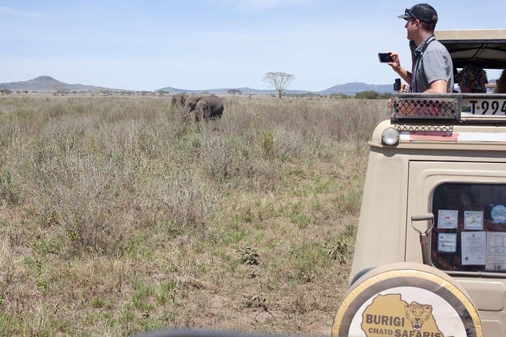 3-Day Northern Tanzania Safari — Tarangire, Ngorongoro & Lake Manyara Guide photo 5