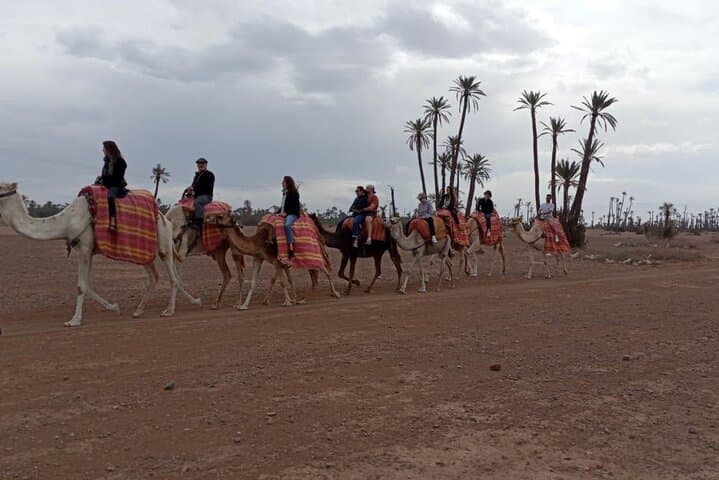 Half-Day Marrakech Quad and Camel Ride — ATV Adventure in the Palm Grove photo 6