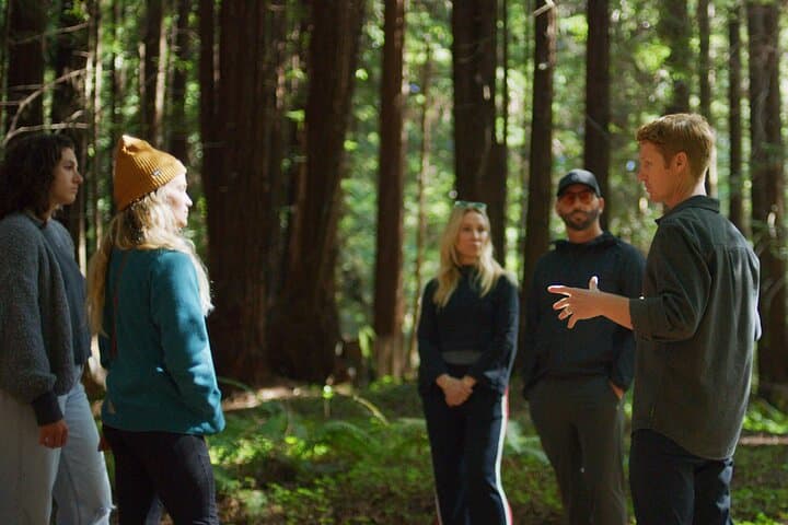 Forest Bathing in the Santa Cruz Redwoods — Guided Nisene Marks Experience