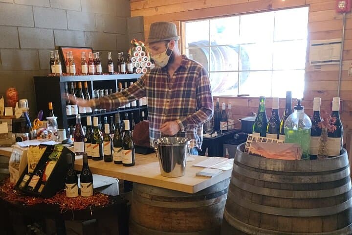 Willamette Valley Wine Tour with Lunch: Pinot Noir Tasting & Vineyard Stops photo 2