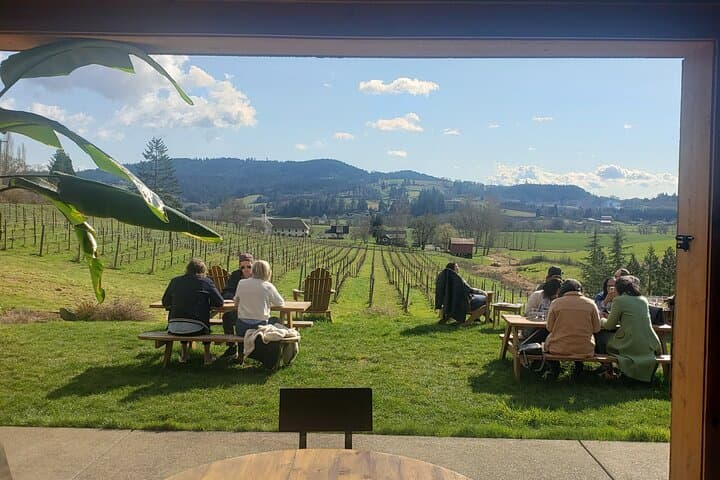 Willamette Valley Wine Tour with Lunch: Pinot Noir Tasting & Vineyard Stops photo 5
