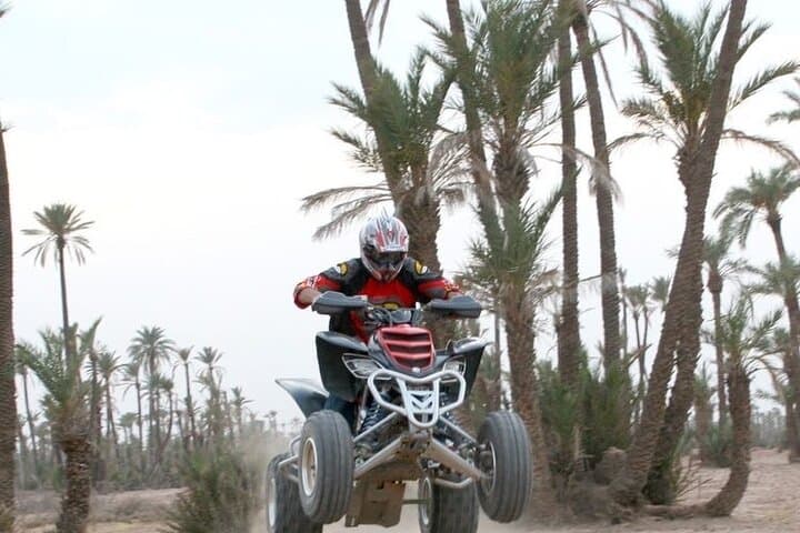 Half-Day Marrakech Quad and Camel Ride — ATV Adventure in the Palm Grove photo 4