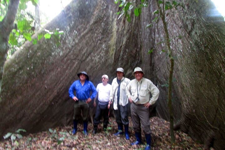 Manu National Park: 4-Day Amazon Wildlife Tour from Cusco photo 3