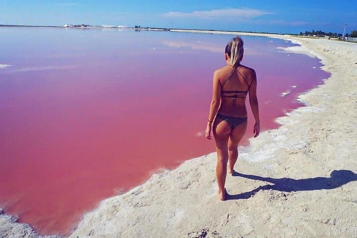 Pink Lake & Flamingo Boat Tour in Río Lagartos: Las Coloradas and Biosphere Reserve