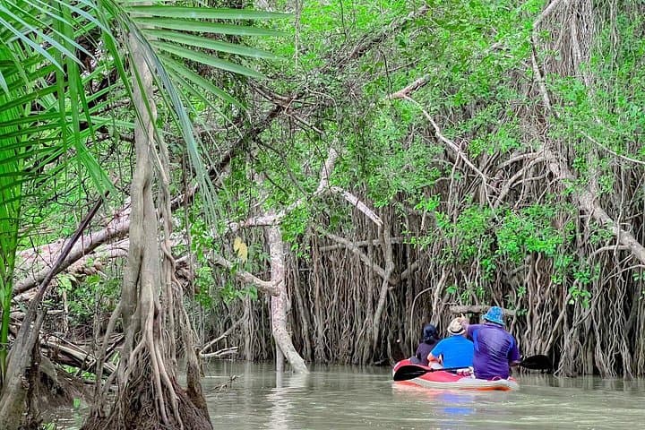 Half-Day Canoe Trip on Takuapa's 'Little Amazon' — Khao Lak Mangrove Safari