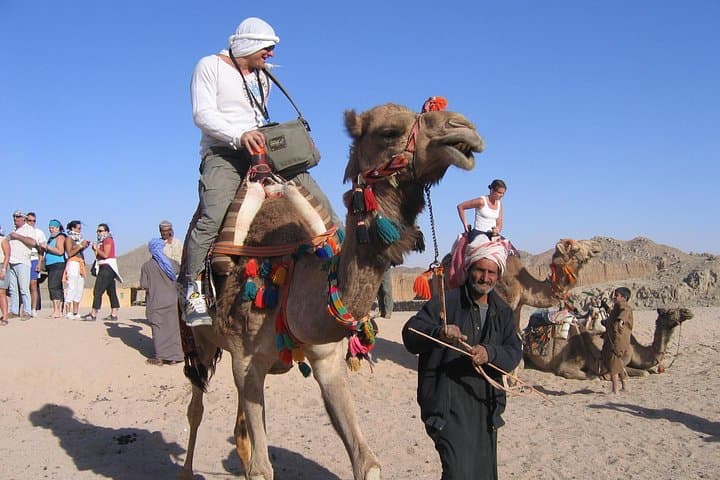 Hurghada Desert Safari: Quad, Spider Car & Bedouin Village Experience photo 5