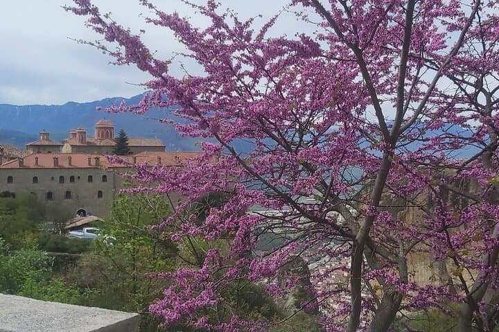 Private Day Trip to Meteora from Thessaloniki: Monasteries & Cliff Views photo 6