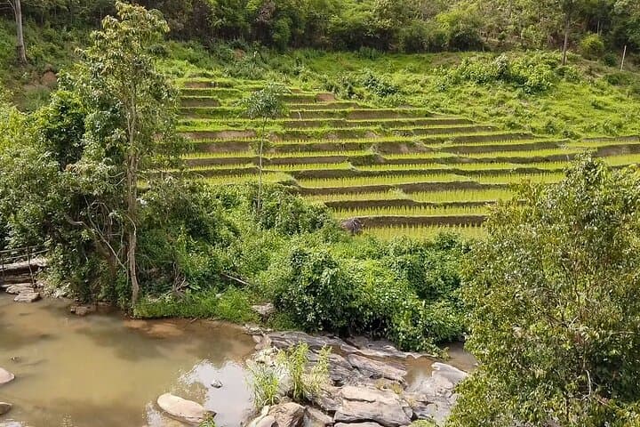 Half-Day Elephant Village Sanctuary Trek Near Chiang Mai photo 4