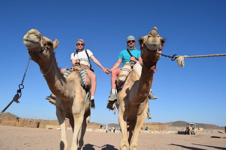 Red Sea Desert Quad Safari — 3-Hour Hurghada Dune Ride & Bedouin Camp photo 2