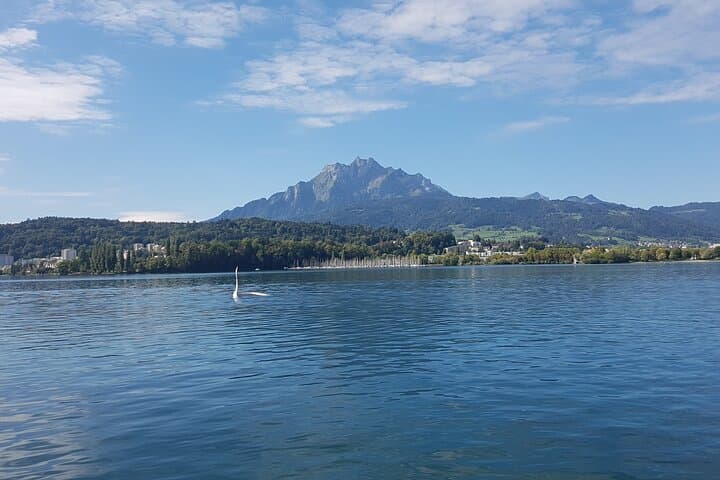Pilatus Golden Roundtrip from Basel: Lake Cruise, Cogwheel Train & Cableway photo 3
