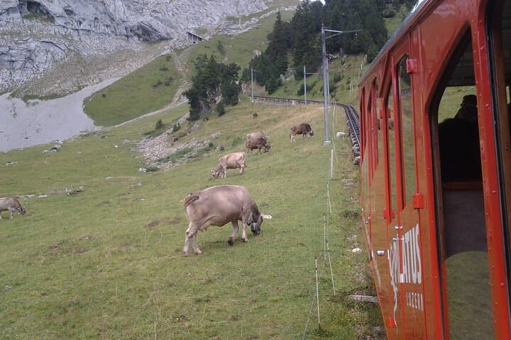 Pilatus Golden Roundtrip from Basel: Lake Cruise, Cogwheel Train & Cableway photo 6