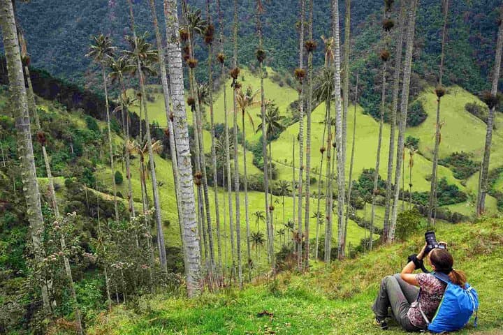 Cocora Valley Wax Palm Hike: Acaime Private Full-Day Trek from Salento photo 5