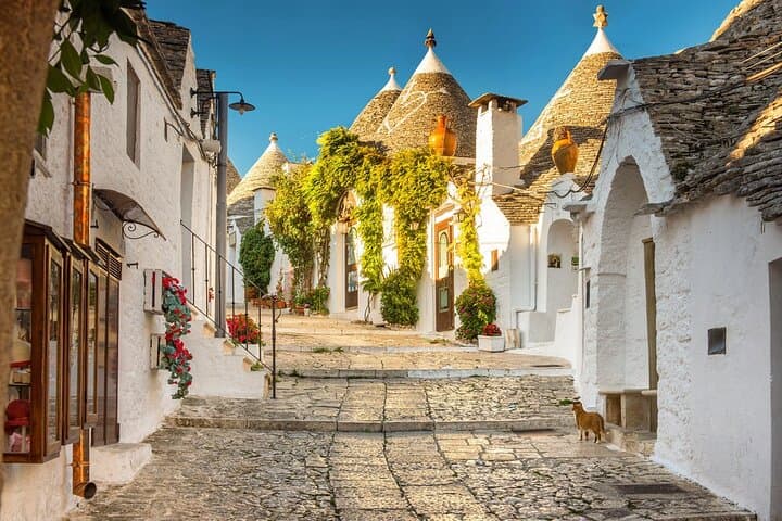 One-Day Private Tour from Bari: Alberobello, Monopoli & Polignano a Mare photo 2