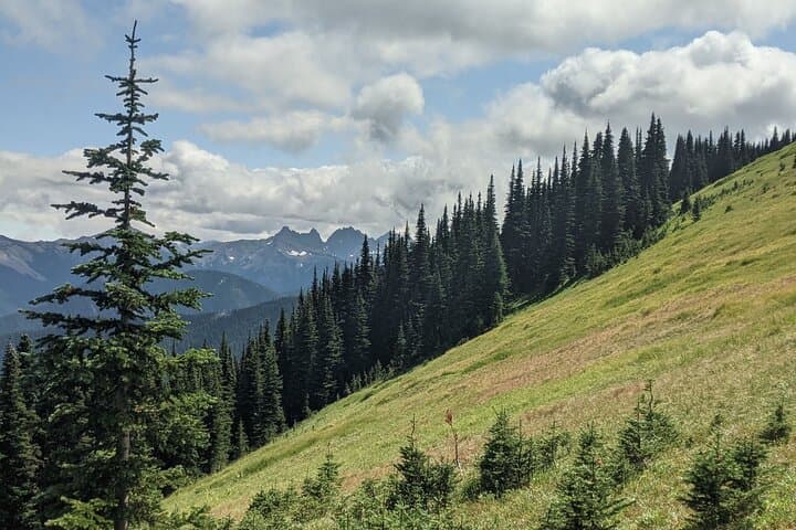 Maiden Peak Day Hike: Grand Ridge Views from Deer Park in Olympic National Park photo 2