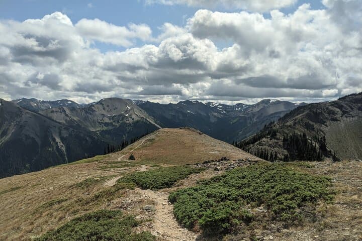Maiden Peak Day Hike: Grand Ridge Views from Deer Park in Olympic National Park