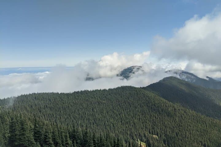 Maiden Peak Day Hike: Grand Ridge Views from Deer Park in Olympic National Park photo 5