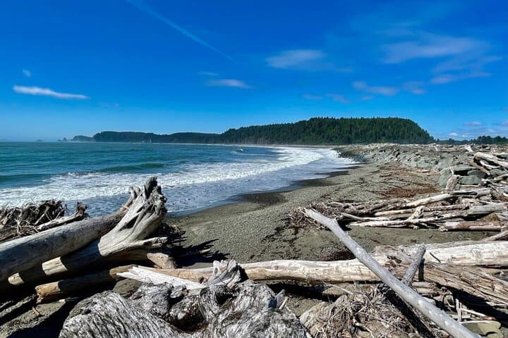 Ozette Triangle Day Hike: Old-Growth Forest, Tide Pools & Cape Alava