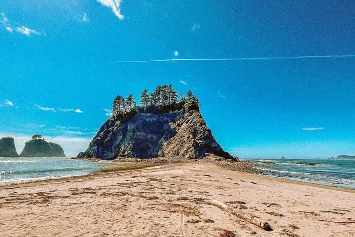 Ozette Triangle Day Hike: Old-Growth Forest, Tide Pools & Cape Alava photo 2
