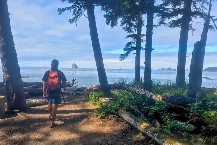 Ozette Triangle Day Hike: Old-Growth Forest, Tide Pools & Cape Alava photo 6