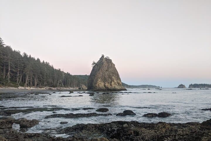 Rialto Beach Tide Pooling: Private Day Hike to Hole-in-the-Wall photo 6