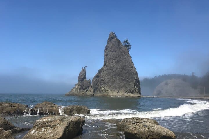 Rialto Beach Tide Pooling: Private Day Hike to Hole-in-the-Wall