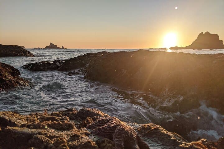 Rialto Beach Tide Pooling: Private Day Hike to Hole-in-the-Wall photo 3