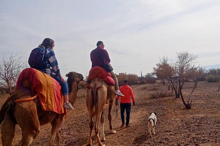 Marrakech to the Atlas: Three Valleys, Waterfall & Berber Village Full-Day Trip photo 3