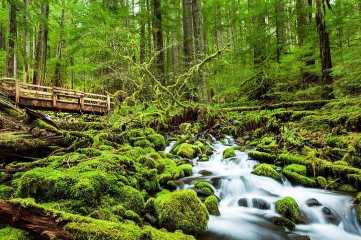 4-Day Backpacking in Olympic National Park: Sol Duc & Seven Lakes Basin photo 2