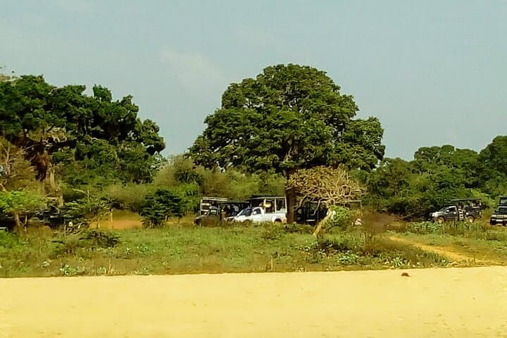Udawalawe & Yala One-Day Safari: Elephant Herds to Leopard Country photo 2