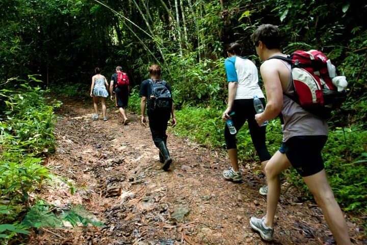 Full-Day Khao Sok Jungle Hike and Bamboo Raft from Khao Lak