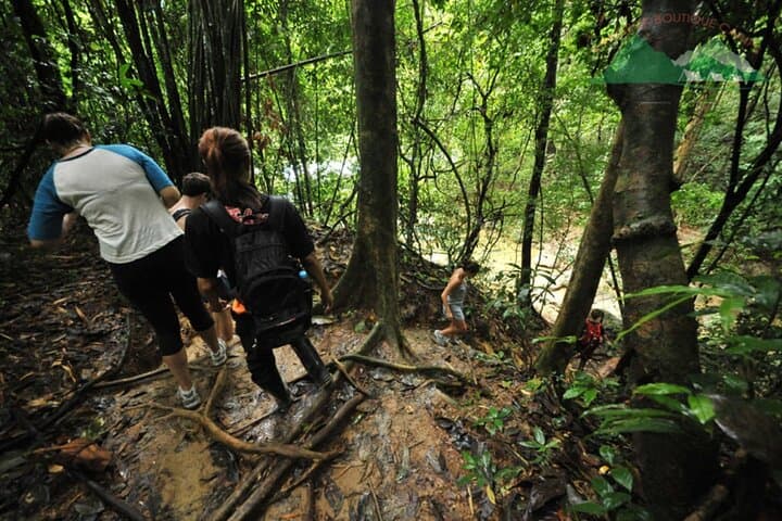 Full-Day Khao Sok Jungle Hike and Bamboo Raft from Khao Lak photo 2