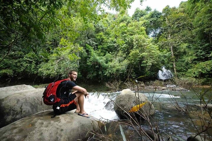 Full-Day Khao Sok Jungle Hike and Bamboo Raft from Khao Lak photo 3