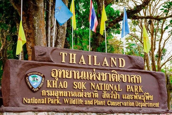 Full-Day Khao Sok Jungle Hike and Bamboo Raft from Khao Lak photo 4