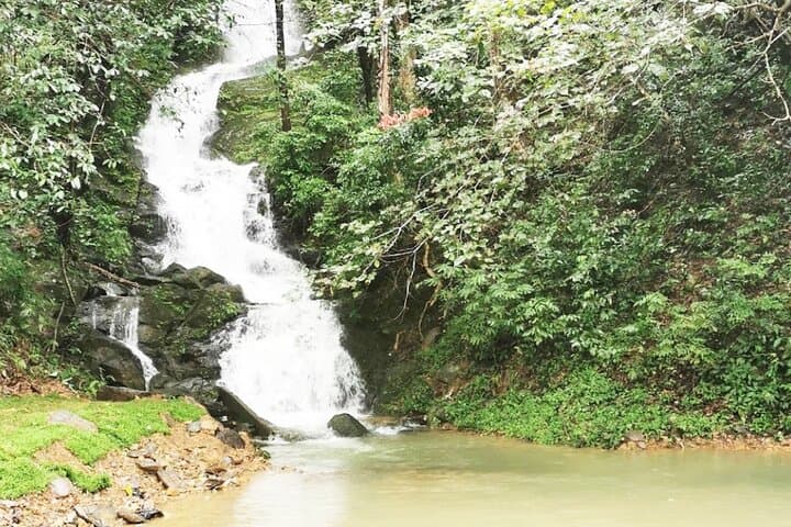 Full-Day Khao Sok Jungle Hike and Bamboo Raft from Khao Lak photo 5