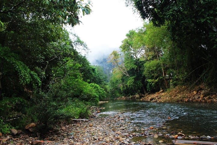 Full-Day Khao Sok Jungle Hike and Bamboo Raft from Khao Lak photo 6