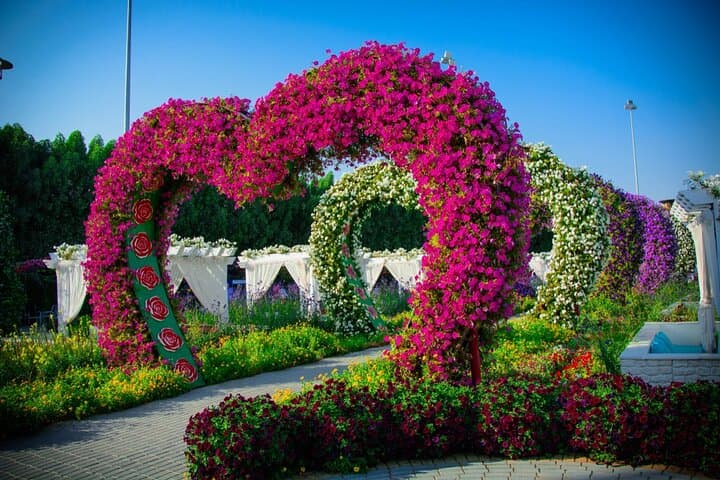 Dubai Miracle Garden Day Trip from Abu Dhabi: What to Expect, Best Times & Practical Tips photo 5