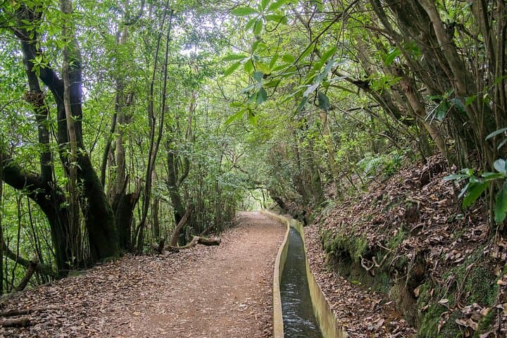 Ribeiro Frio to Portela Levada Walk: Madeira’s Classic 11km Guided Hike photo 4