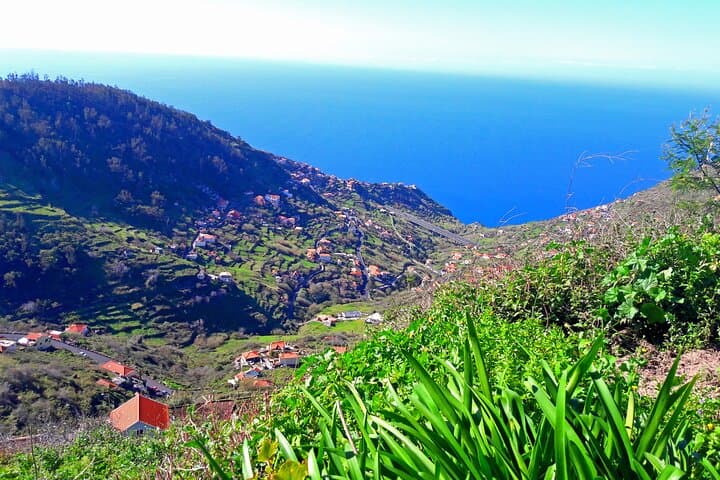 Serra D'Água Valley Levada Walk: Easy 5km Hike Through Madeira's Laurisilva photo 5