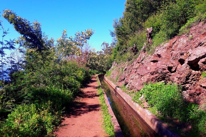 Serra D'Água Valley Levada Walk: Easy 5km Hike Through Madeira's Laurisilva photo 3