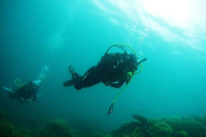 Sharks Bay Scuba Diving at El Fanara — Red Sea Day Dive from Sharm El Sheikh