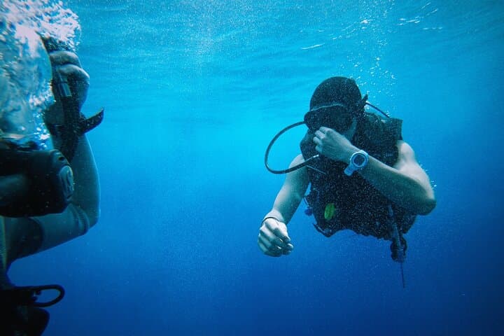 Ras Mohamed Snorkeling Adventure from Sharm El Sheikh photo 3