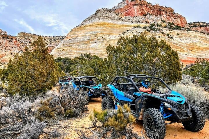 Drive a UTV in East Zion — Diana's Throne Off‑Road Adventure Near Zion National Park photo 4