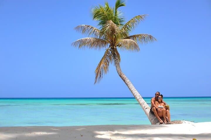Saona Island Full-Day Catamaran & Speedboat Excursion from Punta Cana photo 6