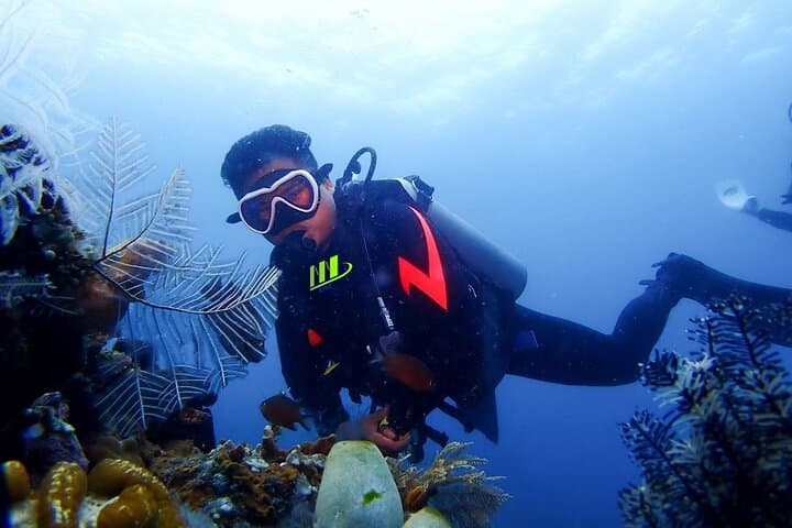 Tulamben USAT Liberty & Coral Garden: Full-Day Scuba Dive from Bali photo 1