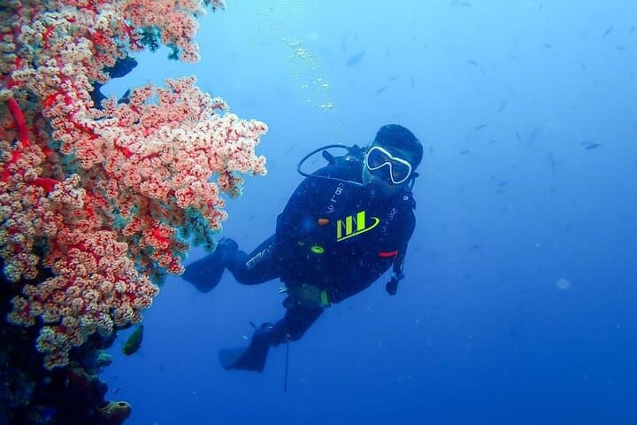 Tulamben USAT Liberty & Coral Garden: Full-Day Scuba Dive from Bali photo 2
