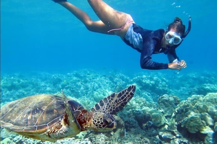 Padangbai Blue Lagoon & Tanjung Jepun: Private Snorkel Day Trip from Bali photo 3