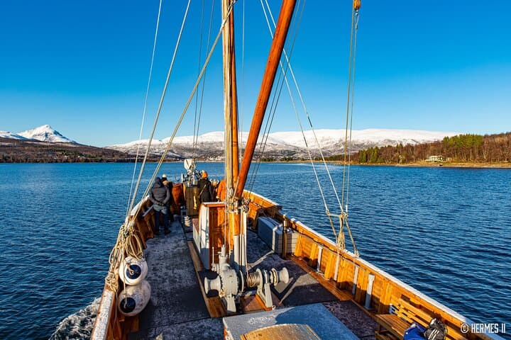tromso-fjord-and-history-cruise-on-hermes-ii photo 2