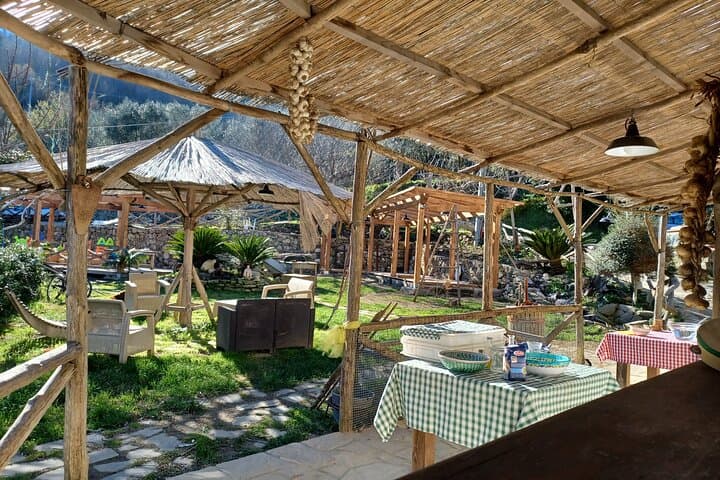 Farm-to-Table at Primaluce: Pizza, Mozzarella & Limoncello Tasting in Sorrento photo 3